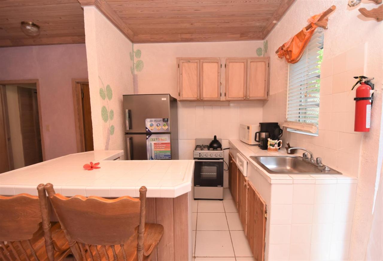The Sugar Apple Lodging Dunmore Town Εξωτερικό φωτογραφία